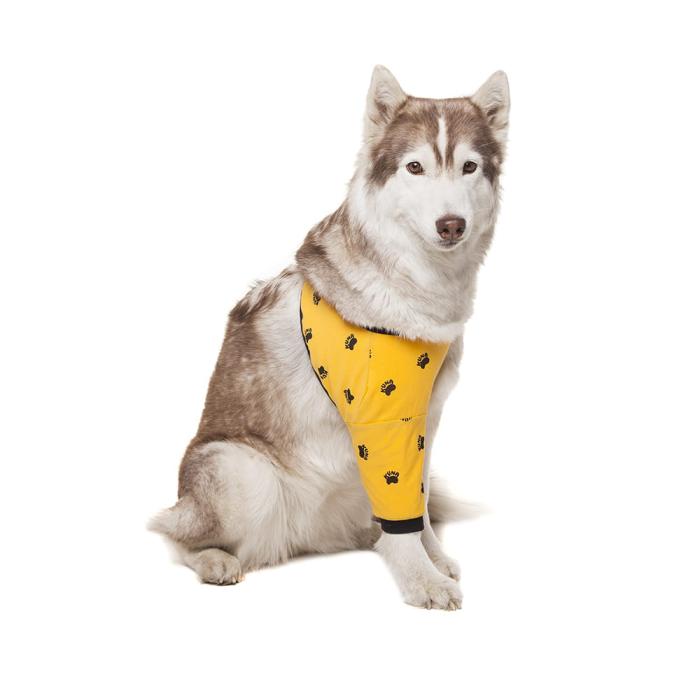 kuna opatrunek na bark i lape.jpg