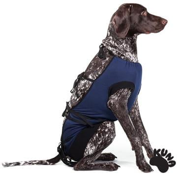 Fartuszek ubranko pooperacyjne, po sterylizacji dla psa Kuna rozmiary XL - 4XL