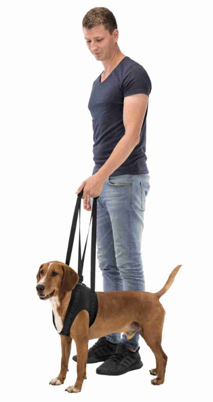 uprzaz trixie 03.jpg