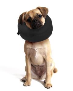 WET-K96.jpg