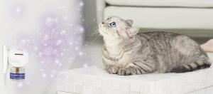 FELIWAY-Optimum 02.jpg