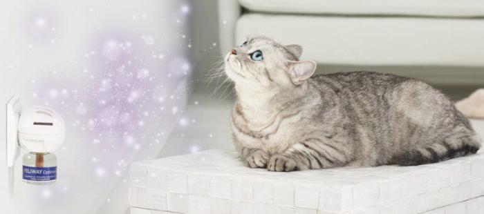 FELIWAY-Optimum 02.jpg