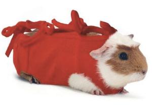 Ubranko pooperacyjne dla kawii domowej