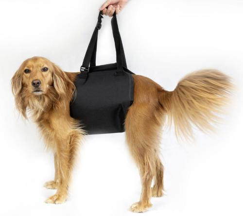 Uprząż dla psa pod brzuch DogHelper