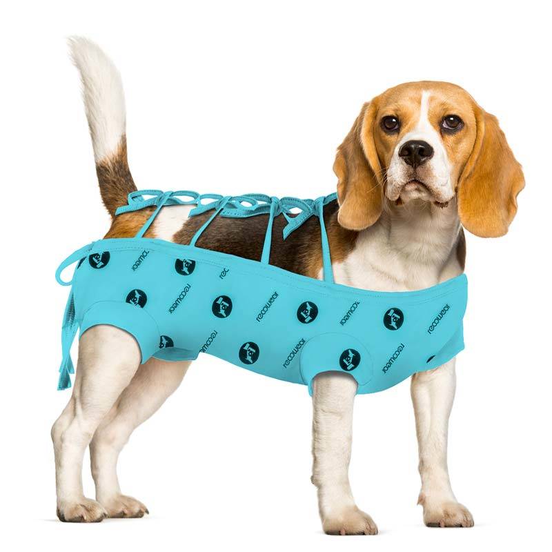 ubranko pozabiegowe recowear 01.jpg