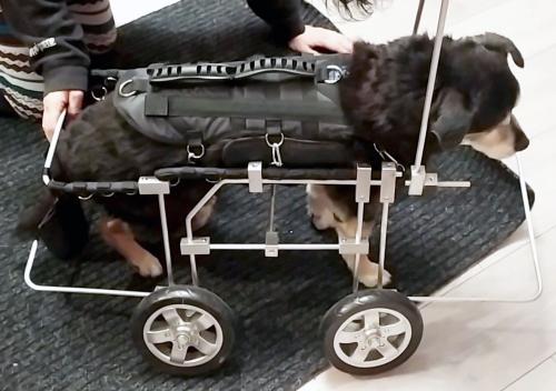 Admirał - sprzęt rehabilitacyjny na zamówienie