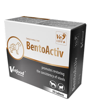 BentoActivVetFood.jpg