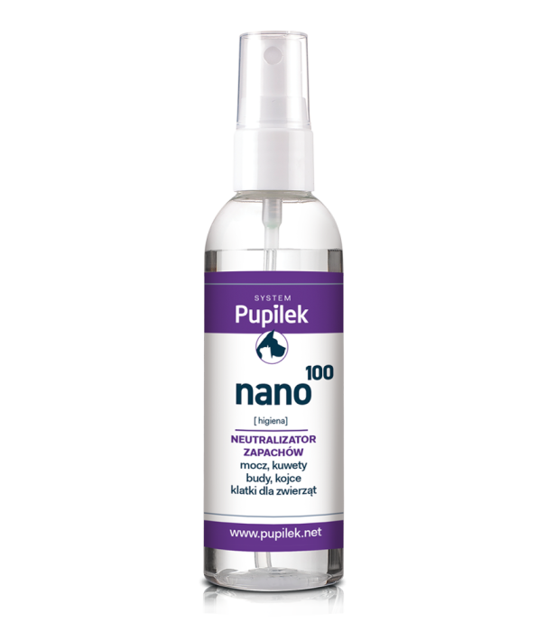 nano100.png