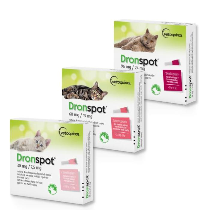 dronspot 02.jpg