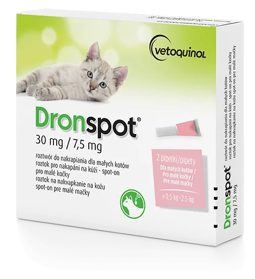 dronspot 7-5.webp
