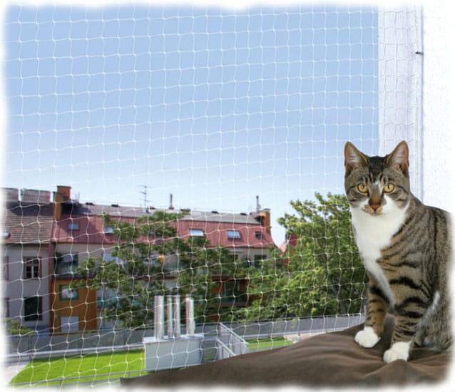 siatka na balkon transparentna kot.jpg