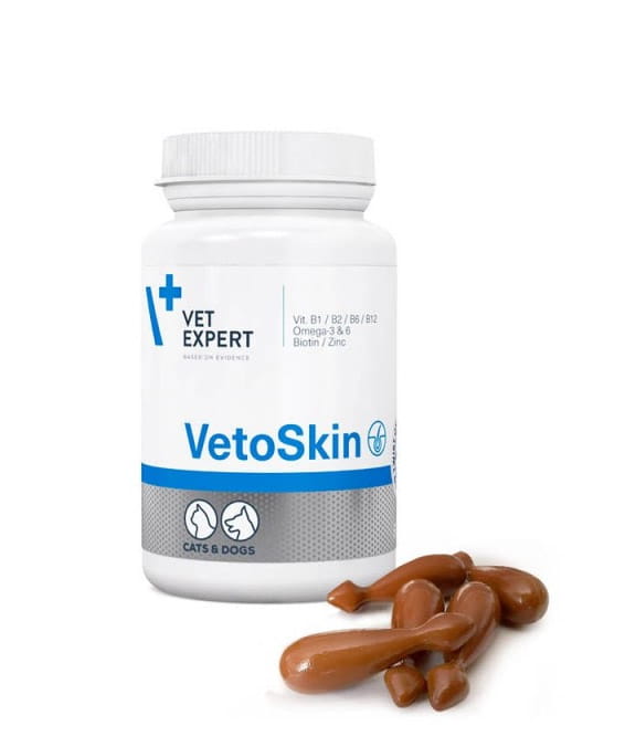 vetoskin02.jpg