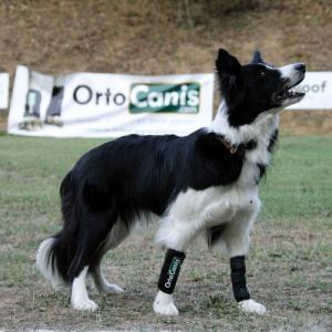 ortocanis orteza neopren nadgarstek 07.jpg