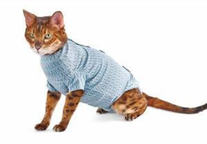 Body dla kota Step'n Go tkanina bambusowa