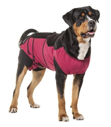  Ubranko pooperacyjne dla psa SAMCA